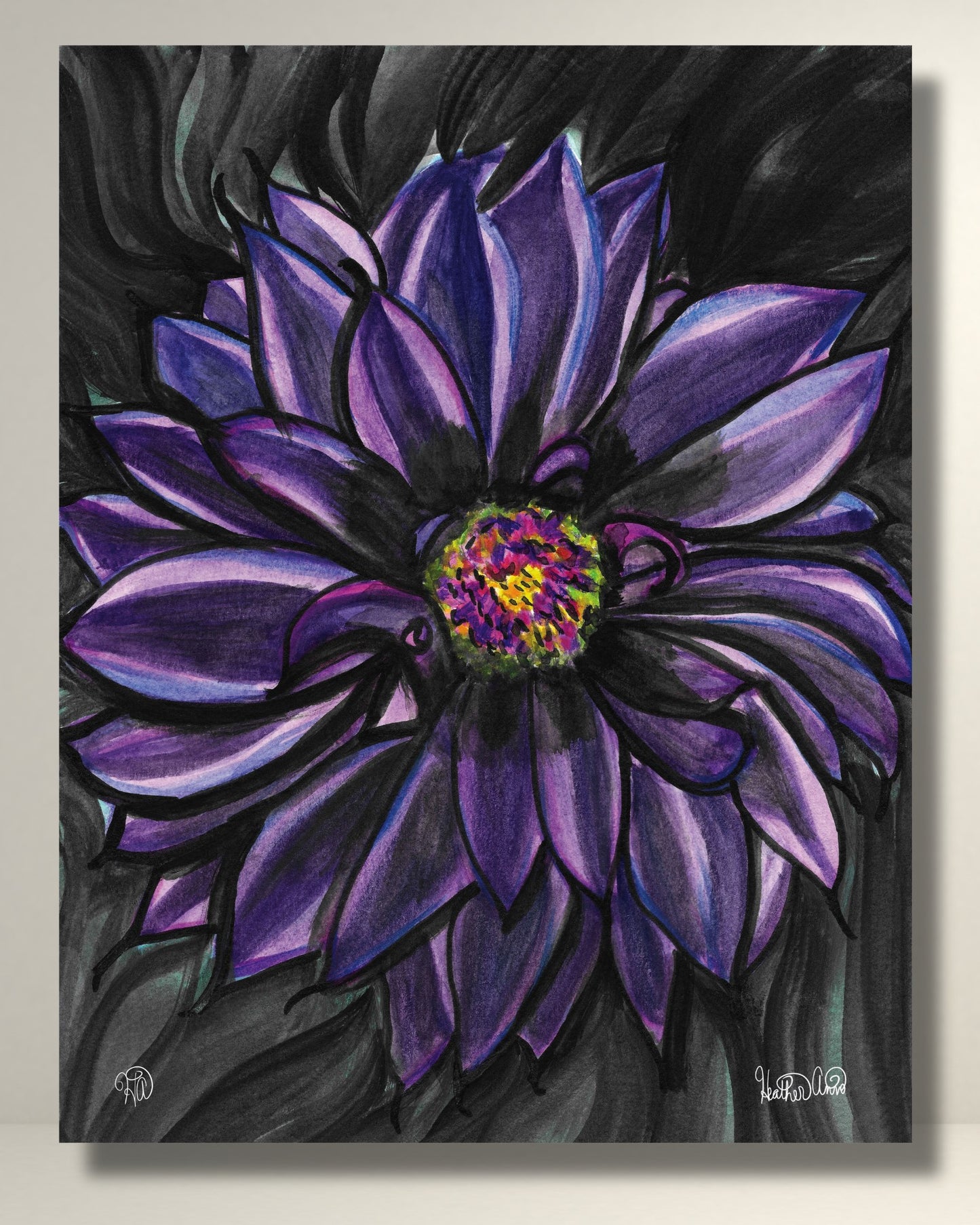 Black Dahlia Art Print on Canvas